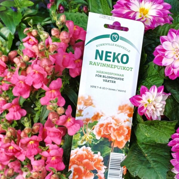 Neko Ravinnepuikot - Image 2